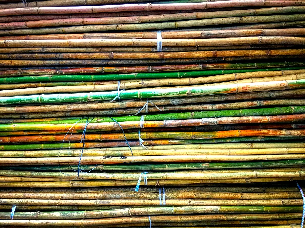 Cadre théorique : Analyse des ateliers de sirop de canne