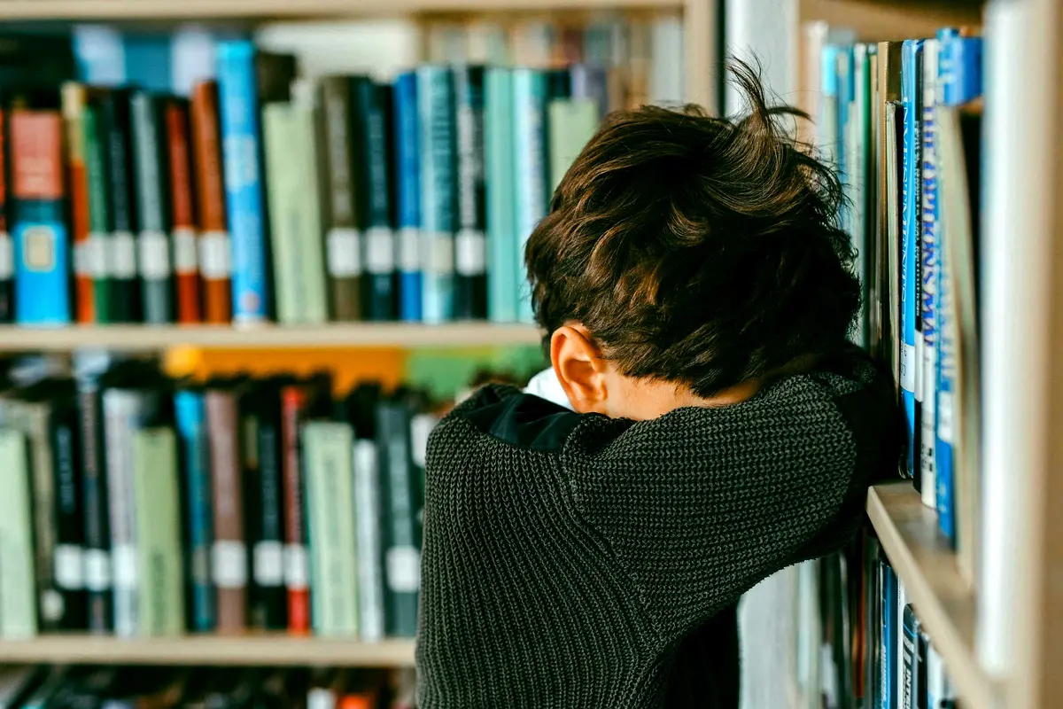 Cadre théorique de la création : Analyse essentielle
