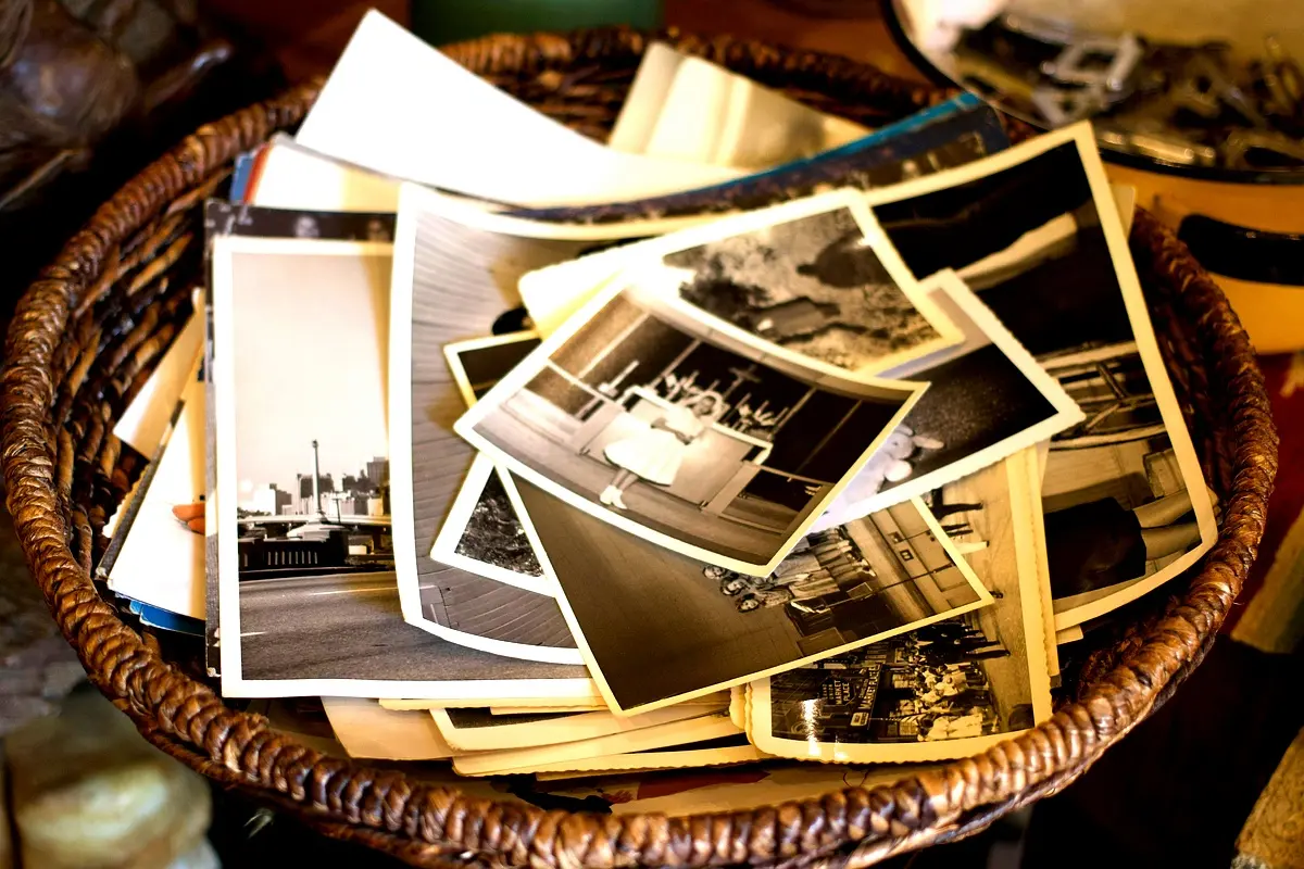 Applications pratiques de la nostalgie dans La Nuit des Origines