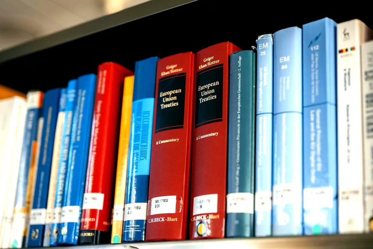 Applications Pratiques des Amnisties en Droit International