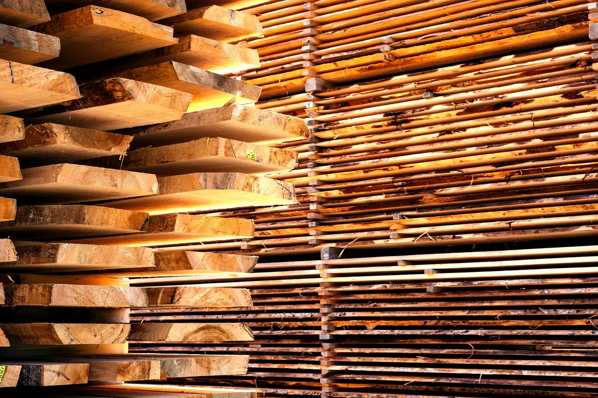 Analyse de cas : gestion environnementale à INDUSBOIS