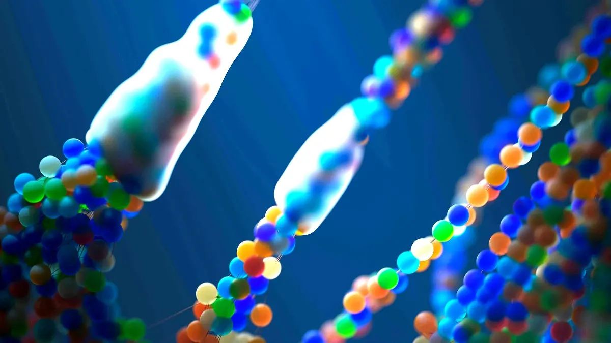 Analyse de cas : l'instabilité des microsatellites dans le cancer colorectal