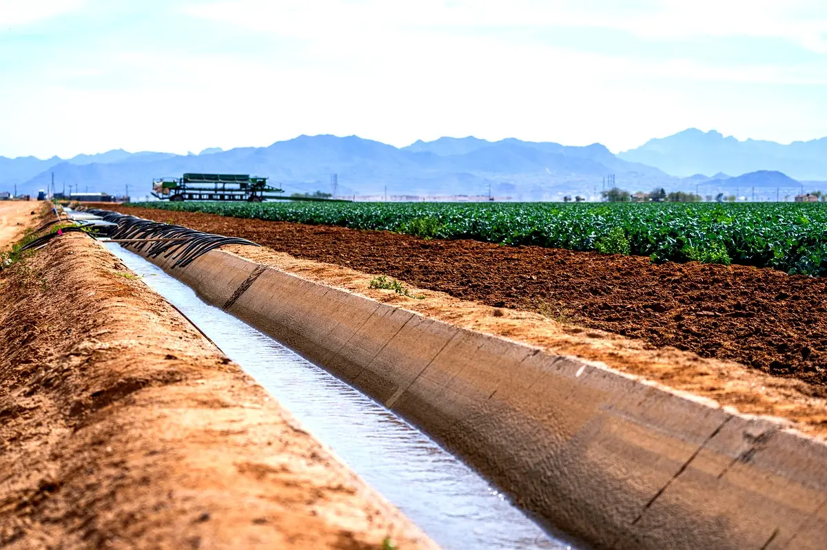 Analyse comparative de la gestion de l'irrigation à Maury