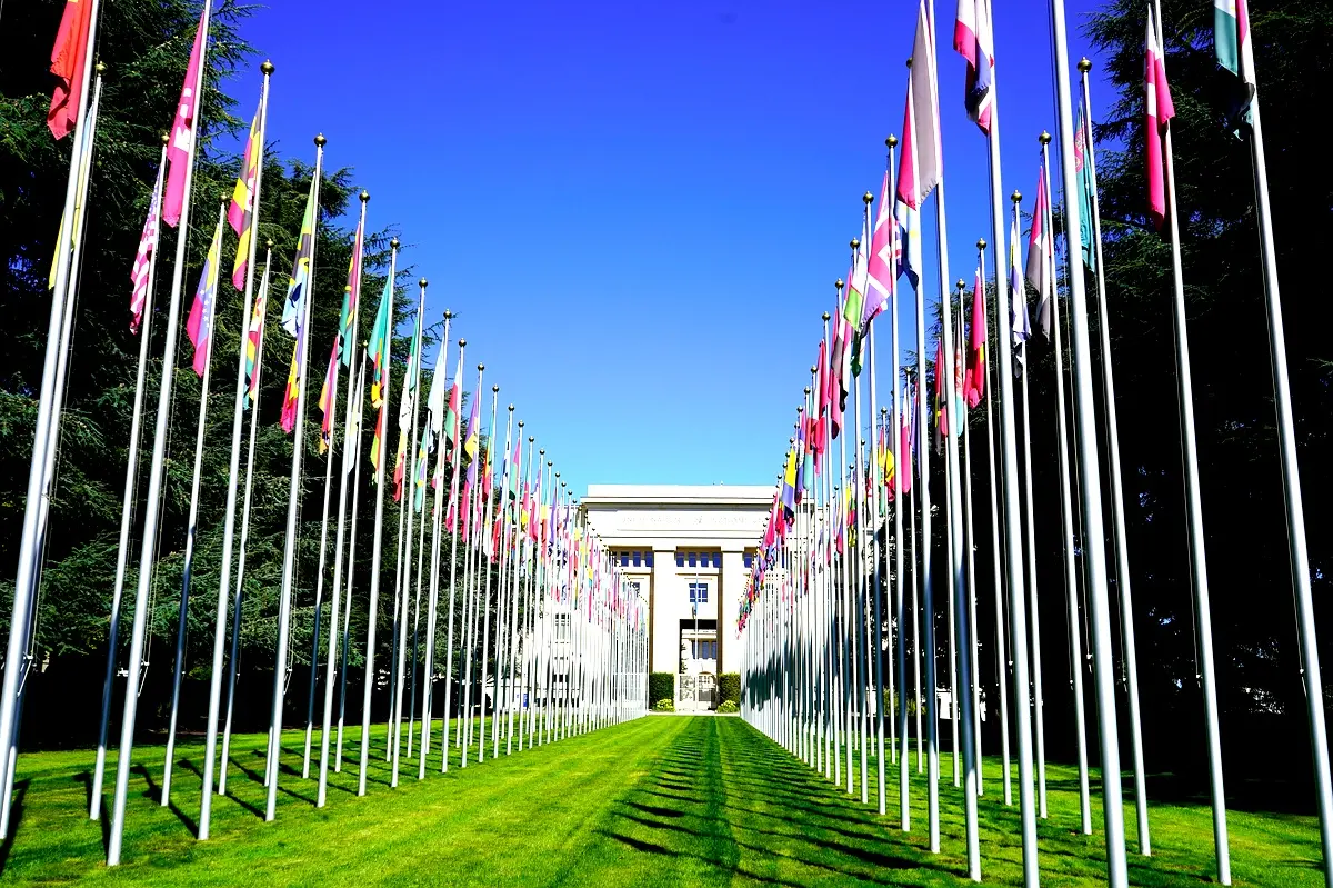 Stratégies de mise en œuvre des amnisties en 2024
