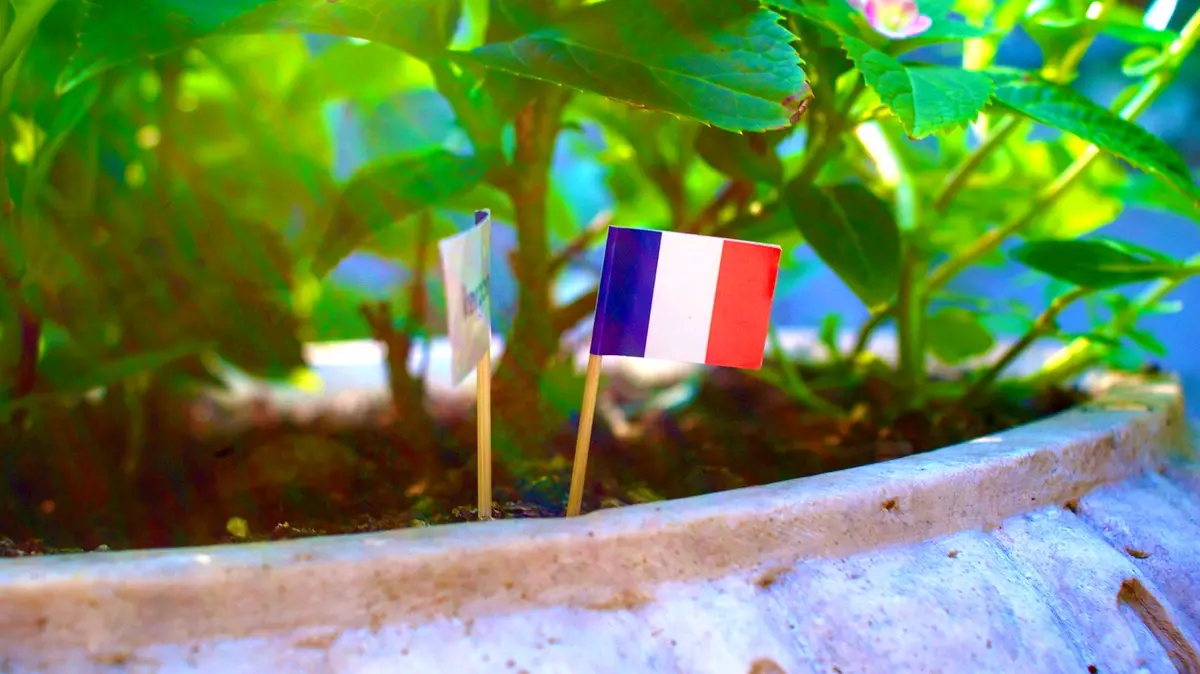 Stratégies d'implémentation du français chez les étudiants