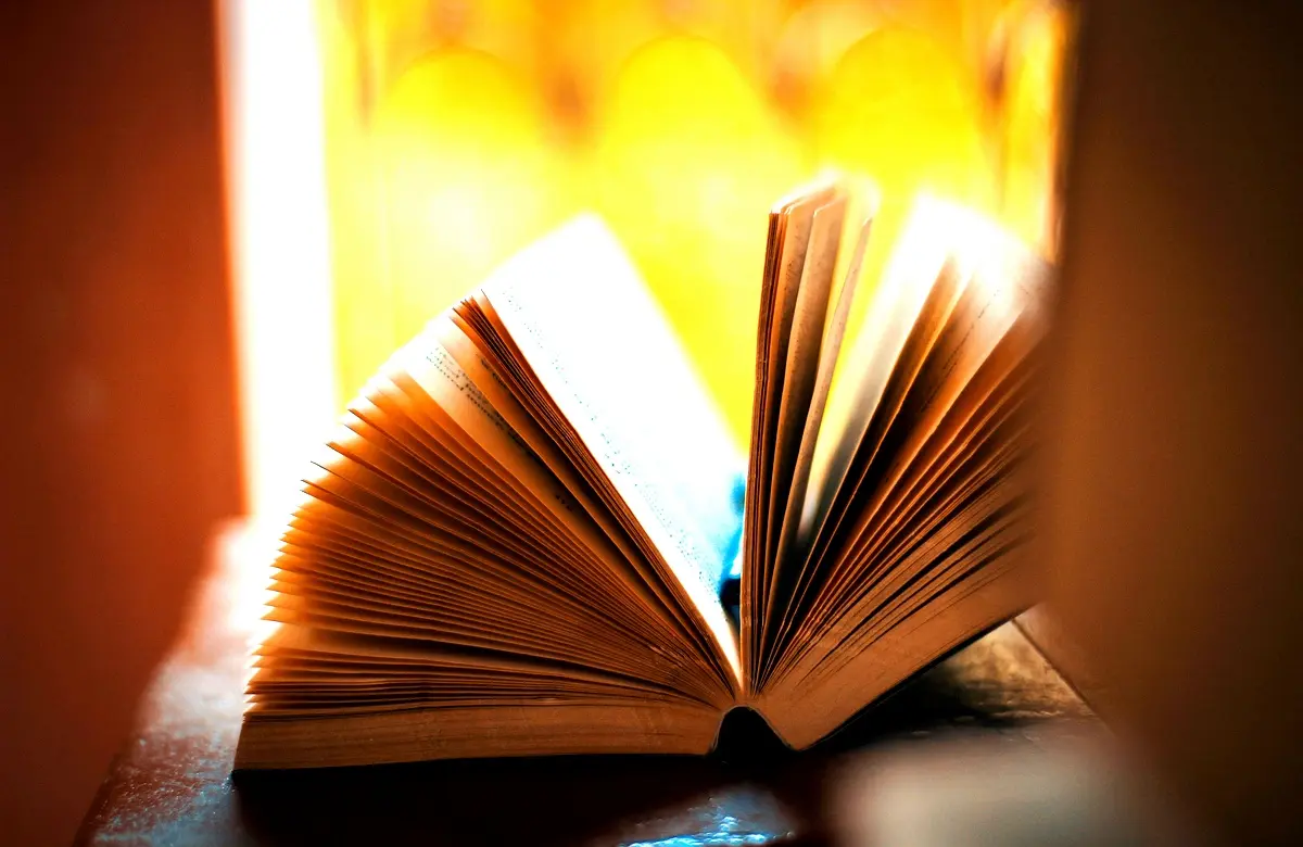 Stratégies d'implémentation du personnage dans 'Le Destin de Narimane'