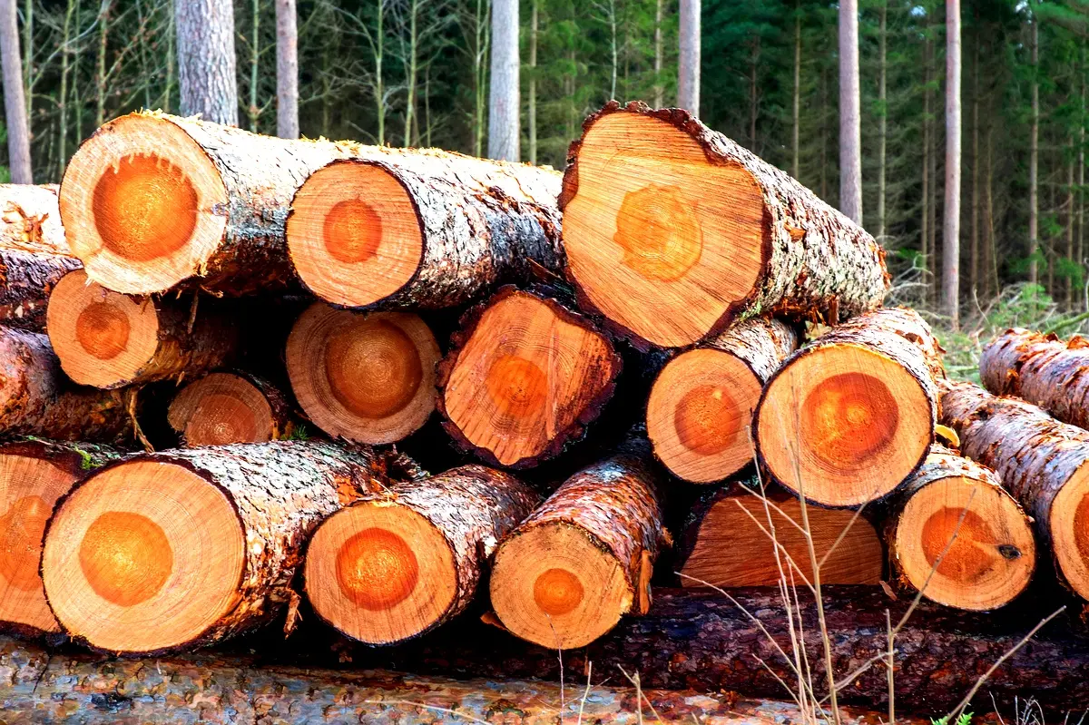 Certification OLB : Stratégies Innovantes pour INDUSBOIS