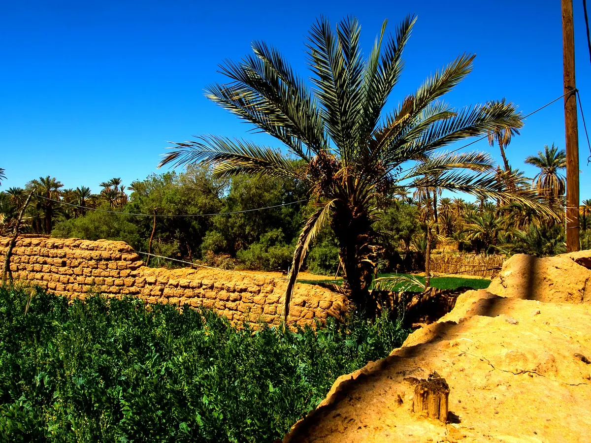 Innovation technologique pour l'adaptation climatique au Maroc