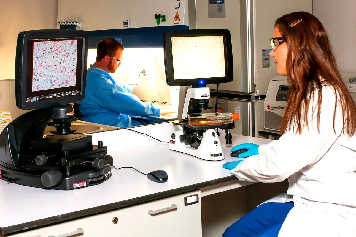 Médicaments combinés innovants : solutions révolutionnaires en thérapie